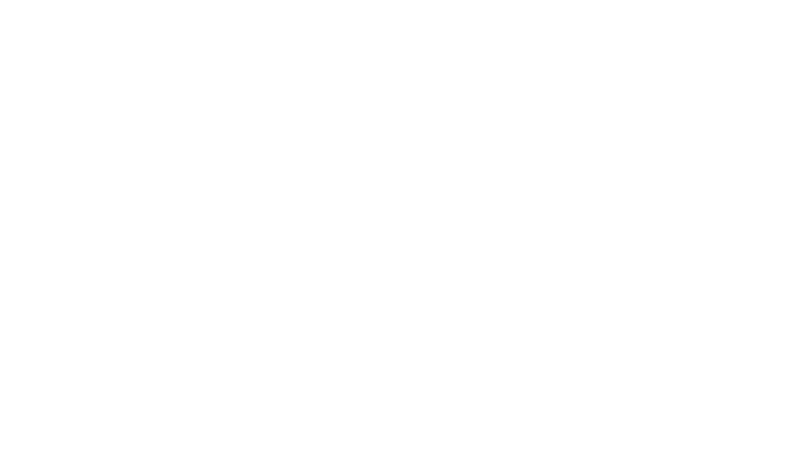 BEST OUTSOURCING COMPANY